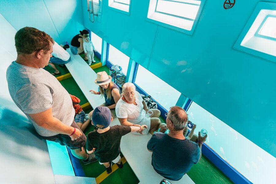 Costa Adeje: Whale & Dolphin Submarine Vision Mini Cruise - The guide and the value of the commentary