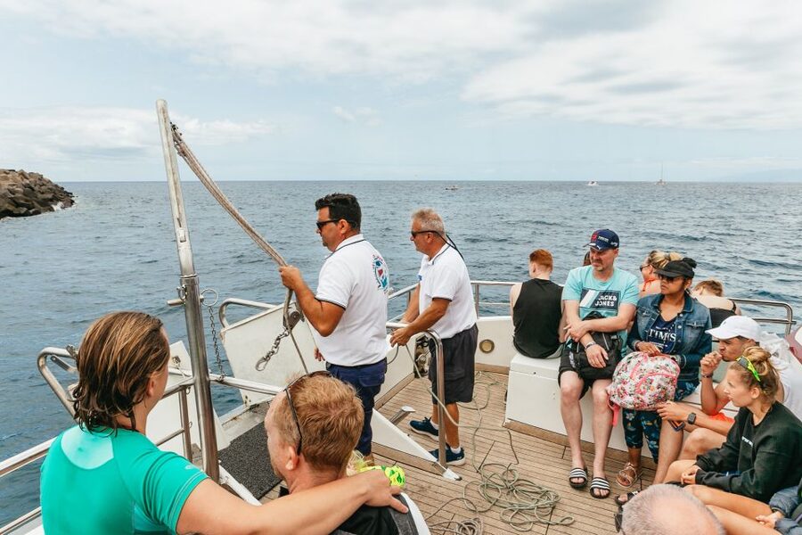 Costa Adeje: Whale & Dolphin Submarine Vision Mini Cruise - Is $35 a fair price for two hours?