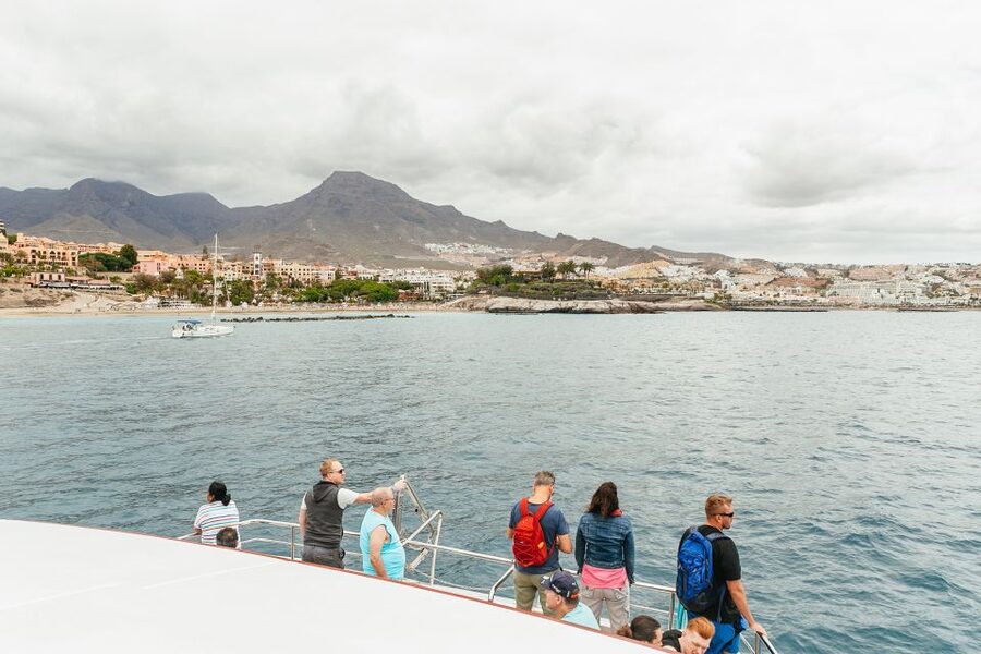 Costa Adeje: Whale & Dolphin Submarine Vision Mini Cruise - Following Tenerife’s southwest coast