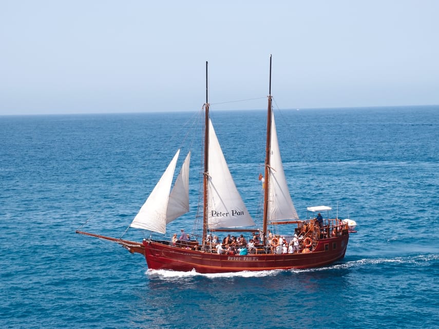 Costa Adeje: Whale & Dolphin Watching Cruise with Swim - The Swim Stop in Clear Water