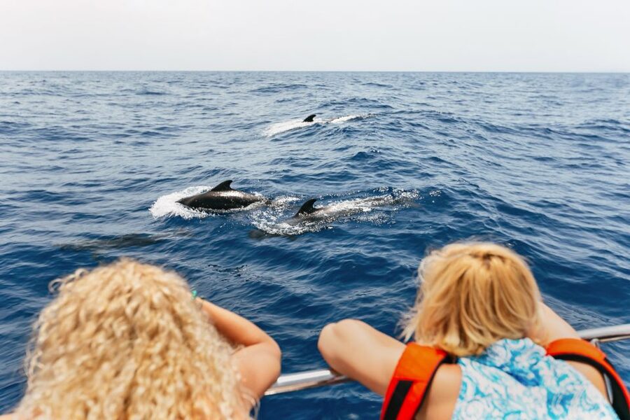 Costa Adeje: Whale Watching Catamaran Tour with Drinks - Key points to know before you book