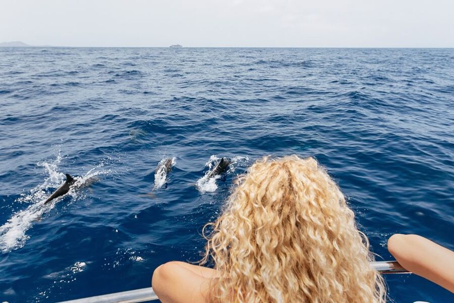 Costa Adeje: Whale Watching Catamaran Tour with Drinks - How the two-hour trip unfolds