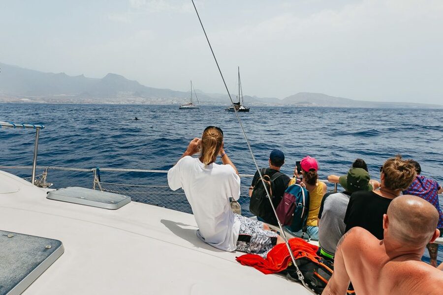 Costa Adeje: Whale Watching Catamaran Tour with Drinks - Why the three-hour option can be worth it