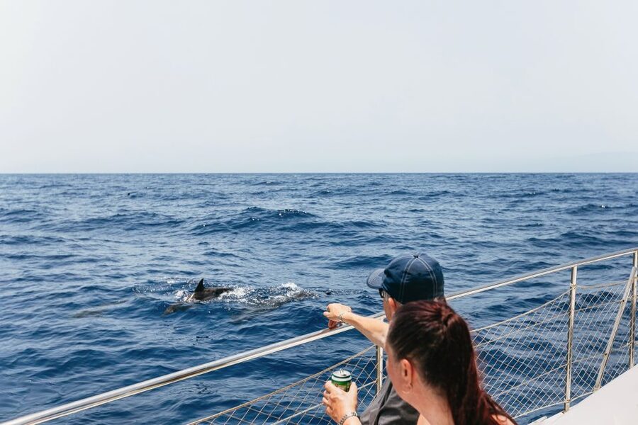 Costa Adeje: Whale Watching Catamaran Tour with Drinks - A catamaran that does not feel packed