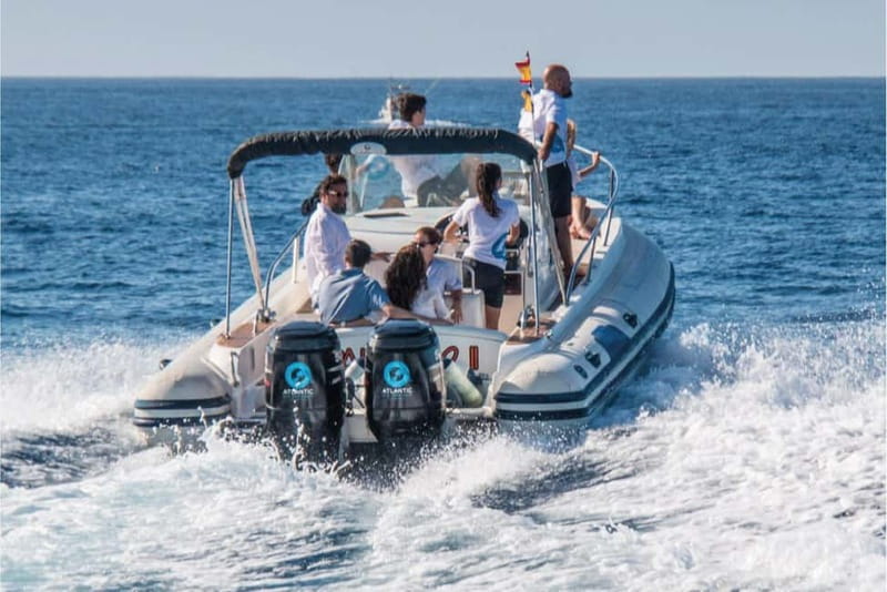 Costa Adeje: Whale Watching Eco Experience with Hydrophone. - Who should choose Atlantic Eco Experience