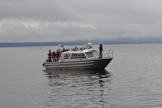 Covered Boat Whale Watching 4-Hour Tour from Campbell River - How much value do you get for $265.98?