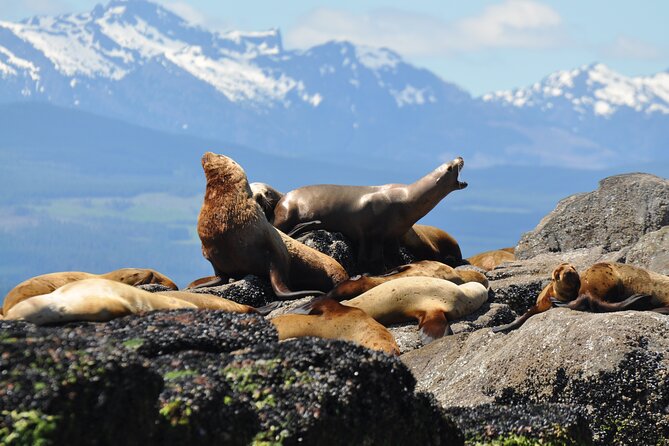 Covered Boat Whale Watching 4-Hour Tour from Campbell River - Who will enjoy this tour most?