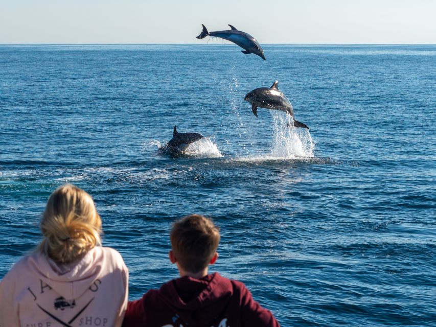 Dana Point Dolphin & Whale Watching With Underwater Viewing - Weather, comfort, and accessibility
