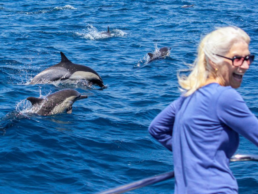 Dana Point Dolphin & Whale Watching With Underwater Viewing - Who will enjoy this cruise most