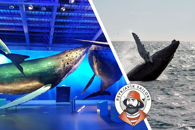 Deluxe Whale Watching and Whales of Iceland Exhibition Combo from Reykjavik - Who should book this Reykjavik outing?