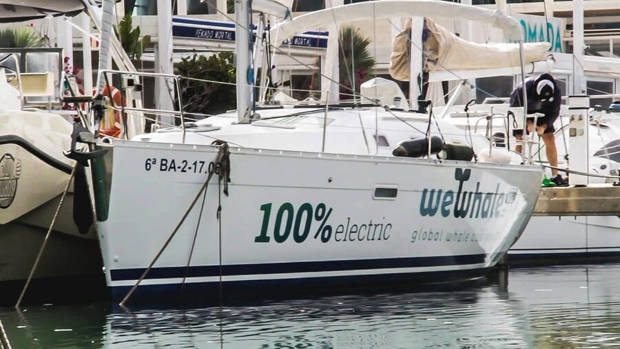 Denia: Whale and Dolphin Watching Morning Experience - Should You Book This Denia Boat Trip?