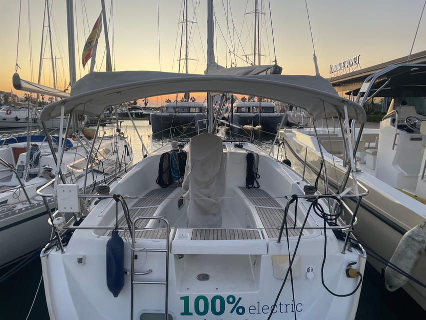 Denia: Whale and Dolphin Watching Morning Experience - The Search for Whales and Dolphins