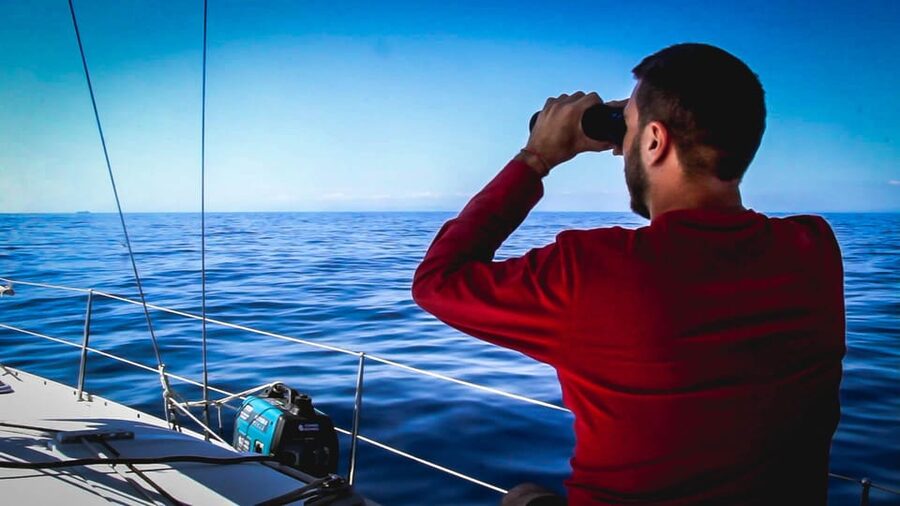Denia: Whale and Dolphin Watching Morning Experience - What the $112 Price Gets You