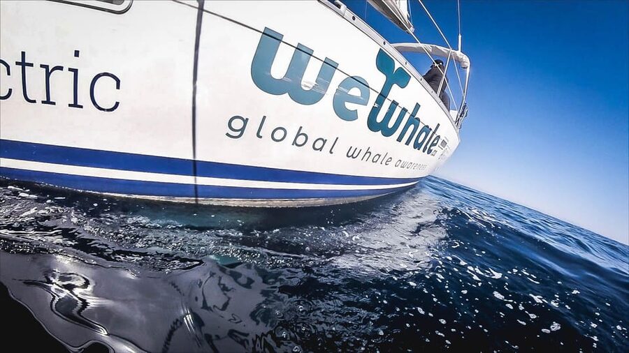 Denia: Whale and Dolphin Watching Morning Experience - Who Will Enjoy This Morning