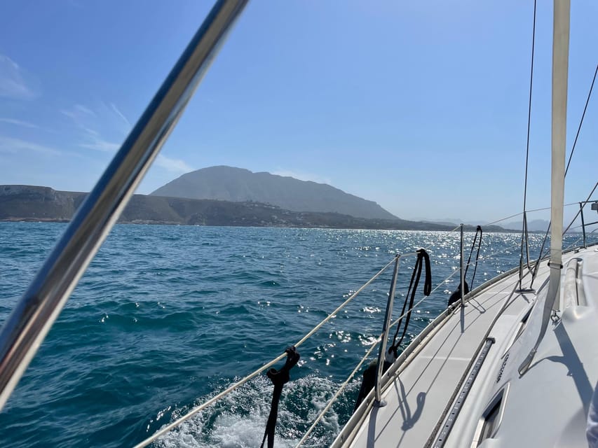 Denia: Whale and Dolphin Watching Morning Experience - Learning What Lives off Denia