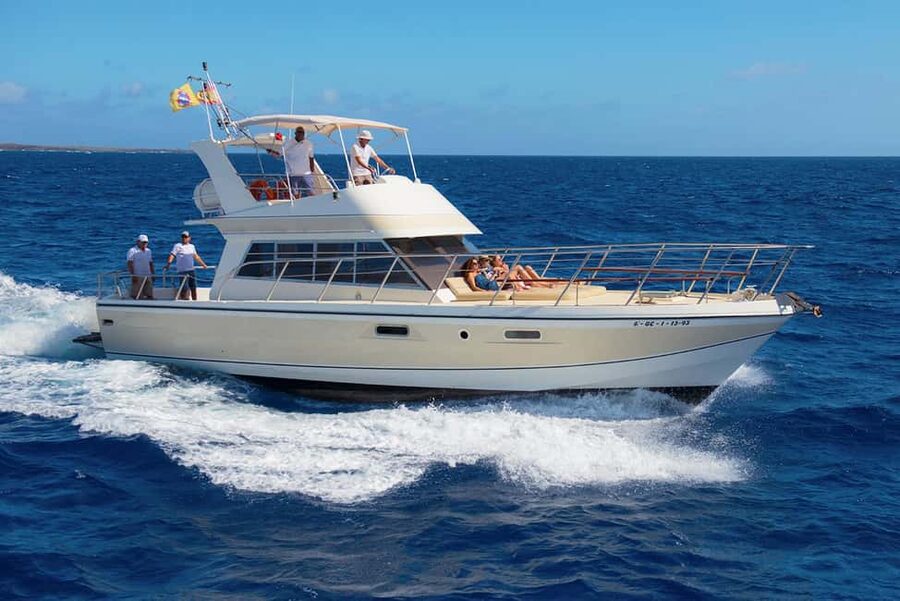 Discover whales in Tenerife: exclusive yacht tour with swim and lunch - Key points to know before you book