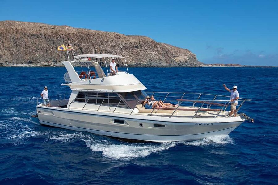 Discover whales in Tenerife: exclusive yacht tour with swim and lunch - Why a 20-passenger yacht changes the day