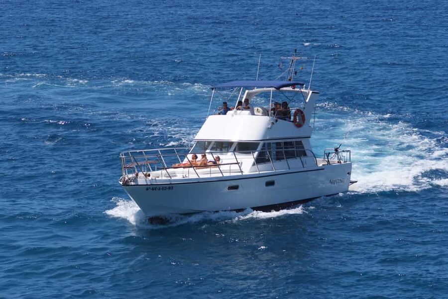 Discover whales in Tenerife: exclusive yacht tour with swim and lunch - The sheltered bay swim