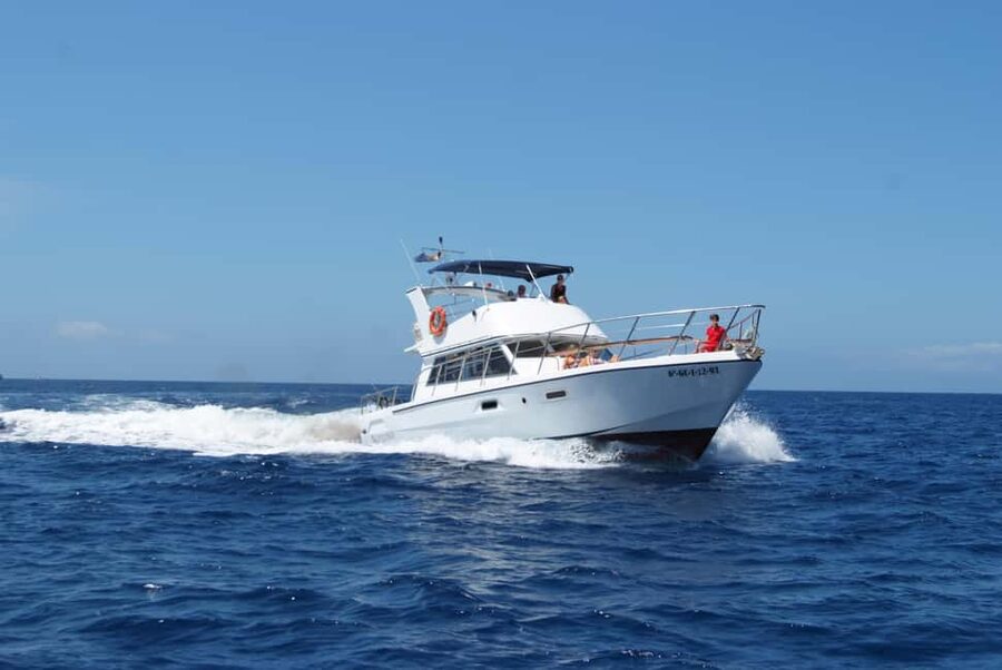 Discover whales in Tenerife: exclusive yacht tour with swim and lunch - Seasickness, comfort, and who should think twice