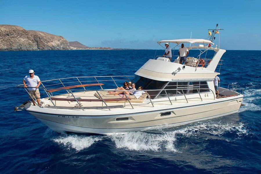 Discover whales in Tenerife: exclusive yacht tour with swim and lunch - The Los Cristianos departure and the southwest coast