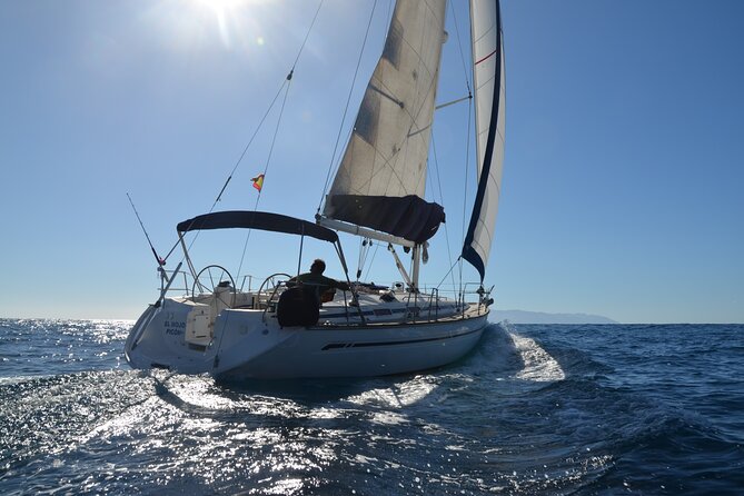 Dolphin and Whale Sailing Tour in Los Gigantes - Why Los Gigantes is the right place for a boat trip