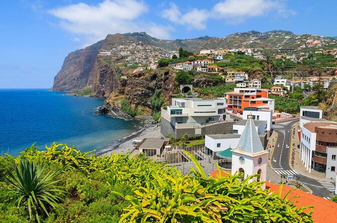 Dolphin and Whale Watching Catamaran Cruise from Funchal - Key points at a glance