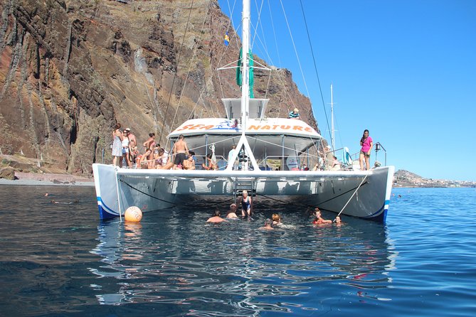 Dolphin and Whale Watching Catamaran Cruise from Funchal - Weather, clothing, and seasickness