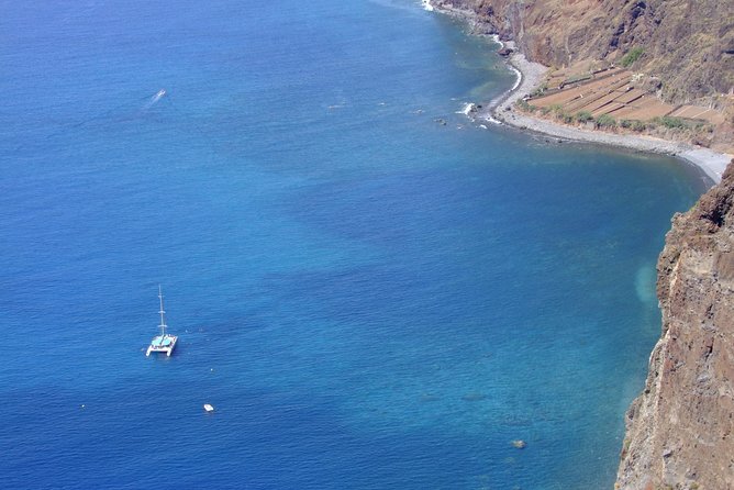 Dolphin and Whale Watching Catamaran Cruise from Funchal - Price and value at about $48.27