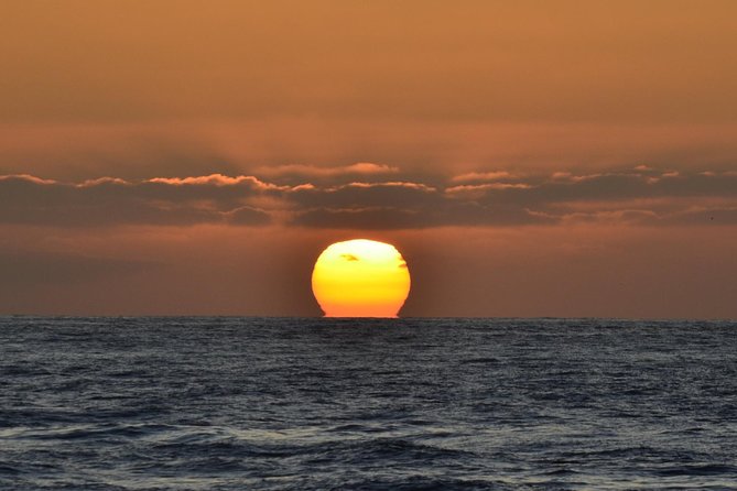 Dolphin and Whale Watching Sunset Cruise - Booking, cancellation, and practical planning