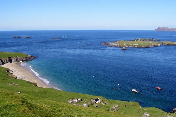 Dolphin and Whale Watching Tour from Dingle - Great Blasket Island and the island group
