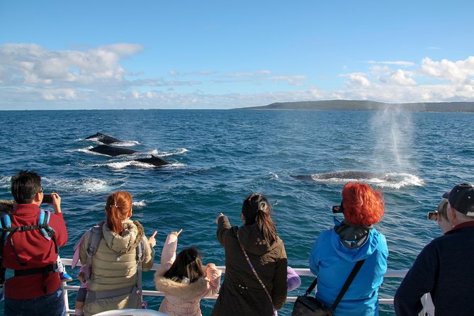 Dunsborough Whale Watching Eco Tour - Key things to know before you book