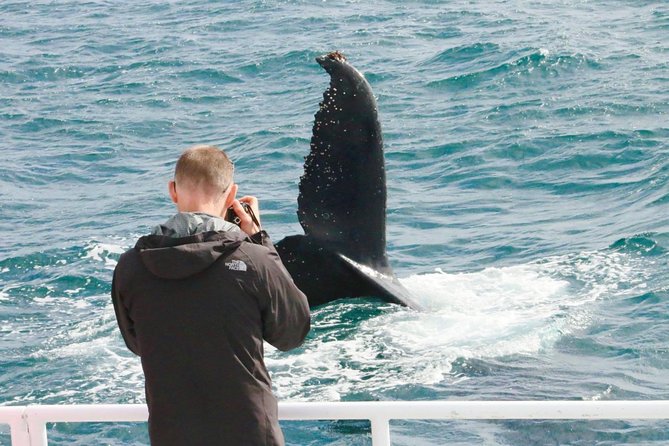 Dunsborough Whale Watching Eco Tour - Tea, biscuits, and the practical value of the price