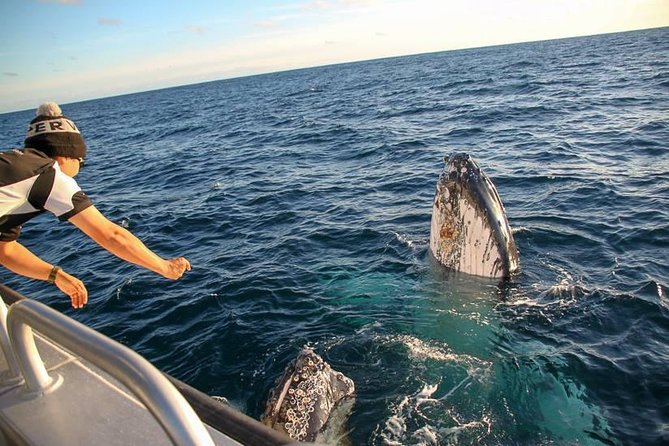 Dunsborough Whale Watching Eco Tour - Who will enjoy this Dunsborough cruise most