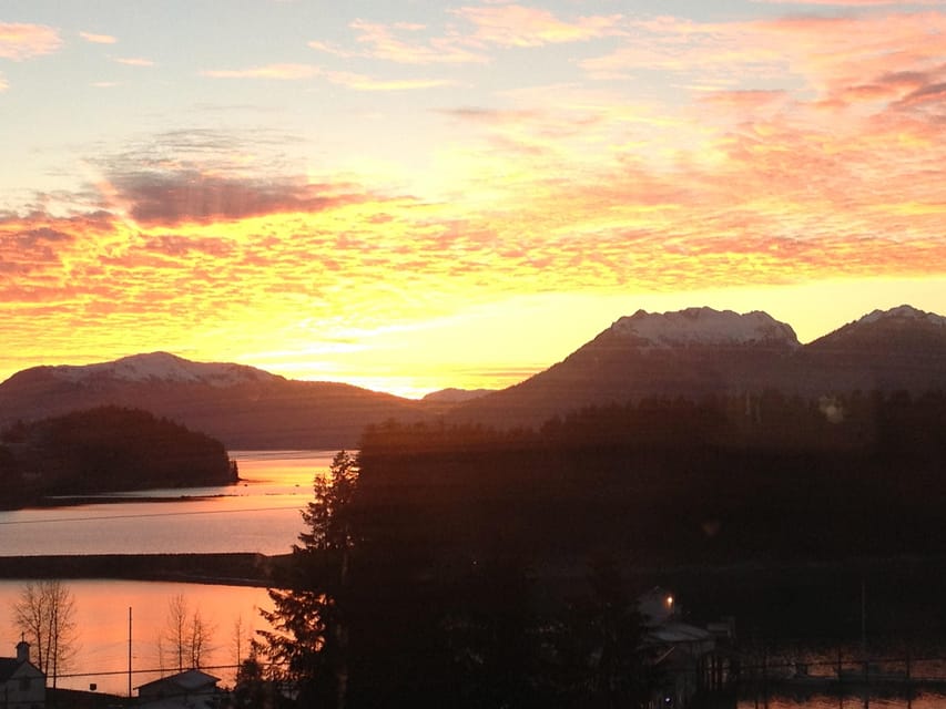 Ear Mountain Charters tours: whale watching or fishing - Key points to know before booking