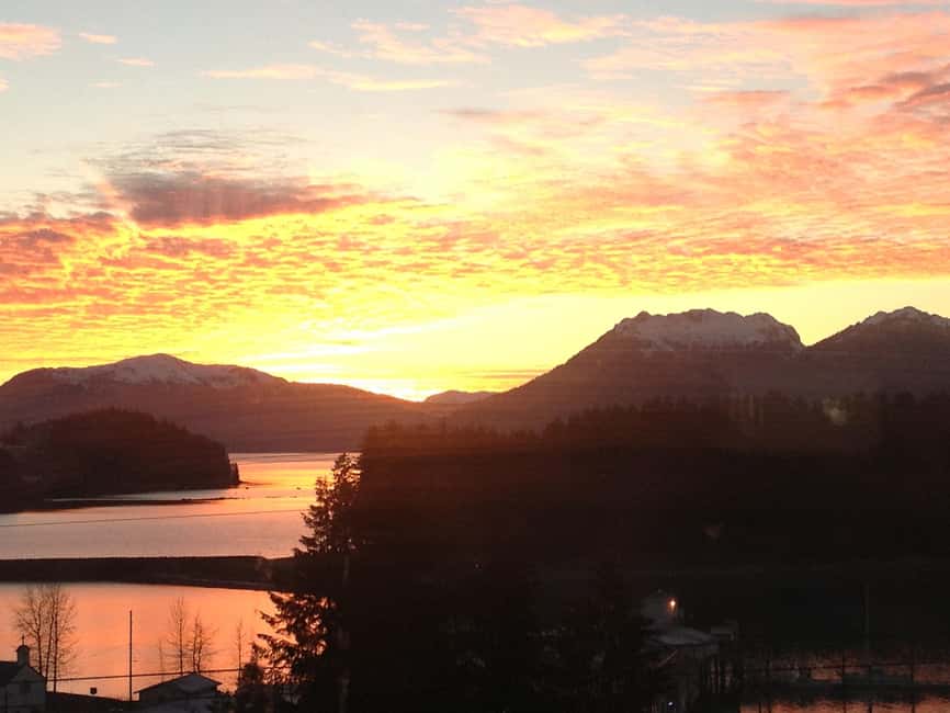 Ear Mountain Charters tours: whale watching or fishing - Whale watching around Icy Strait