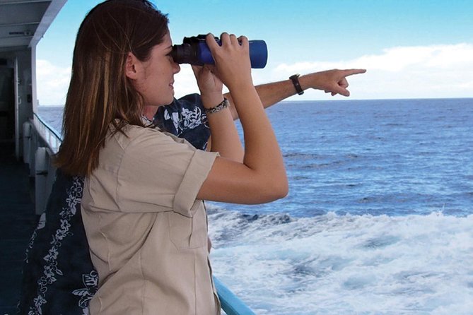 Early Bird Whale Watching Cruise from Waikiki - Setting out from Aloha Tower at 9:15 a.m.