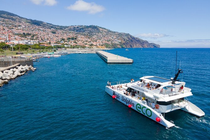 Eco-Friendly Catamaran Dolphin and Whale Watching - Cabo Girão and the south coast