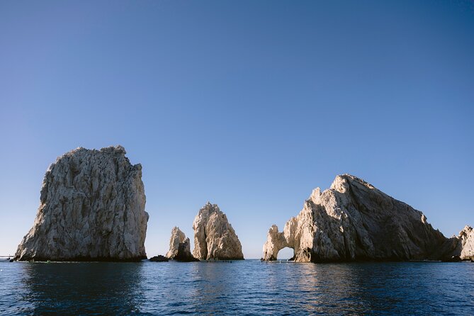 Educational Sunrise Whale Watching with Photos Included - Booking, weather, and cancellation details