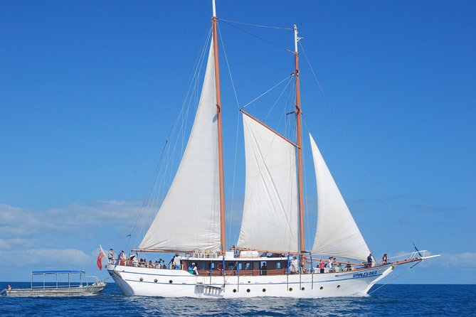 Fijian Islands and Snorkel Full-Day Whales Tale Cruise including Beach BBQ Lunch - Key points to know before booking