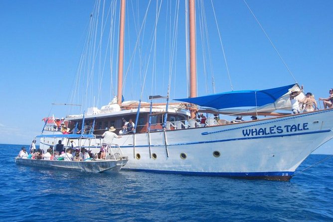Fijian Islands and Snorkel Full-Day Whales Tale Cruise including Beach BBQ Lunch - Four Mamanuca Islands on the way out