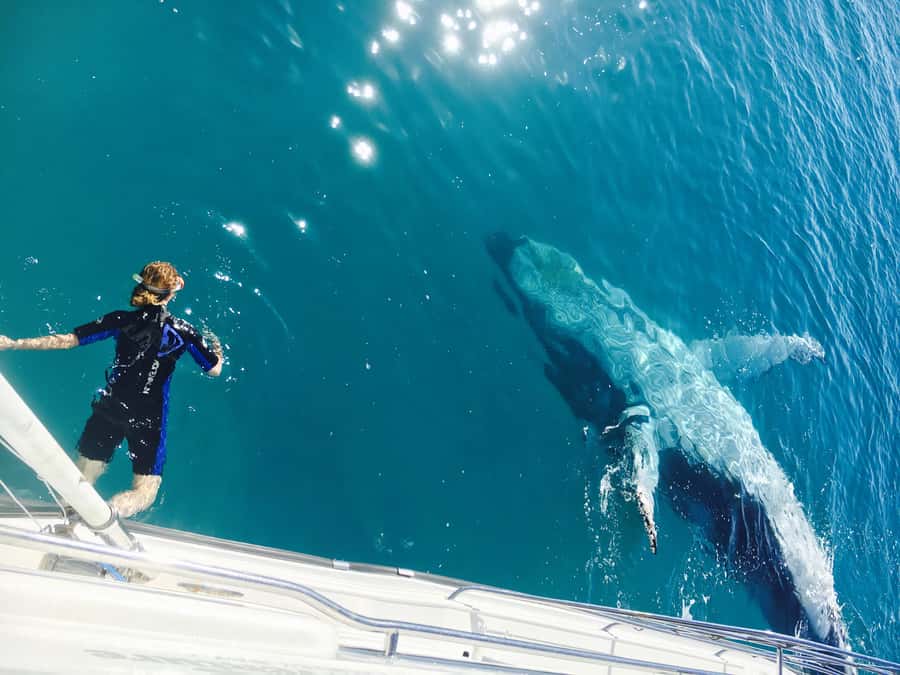 Fraser Island (K'gari): Remote Island and Whale Experience - Why this K’gari trip feels different