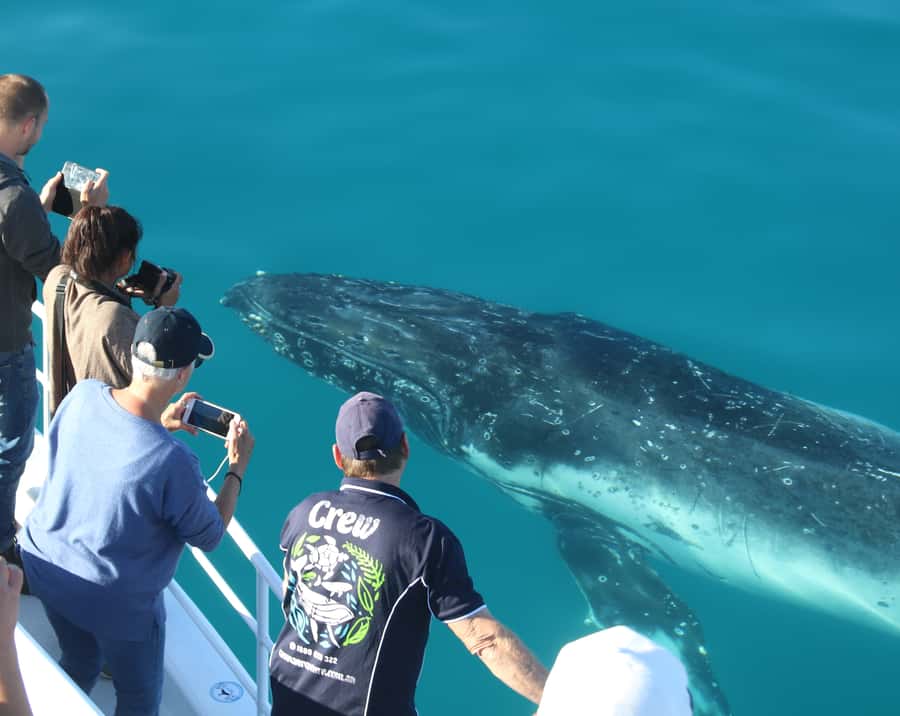 Fraser Island (K'gari): Remote Island and Whale Experience - Kayaking, tubing, and creek time