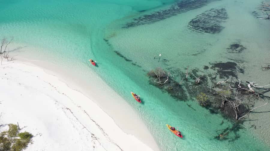 Fraser Island (K'gari): Remote Island and Whale Experience - Weather, changes, and cancellation