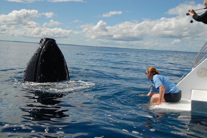 Fraser Island Whale Watch Encounter - Lunch, tea, and a long day at sea