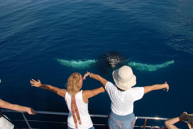Fraser Island Whale Watch Encounter - Practical details before you go