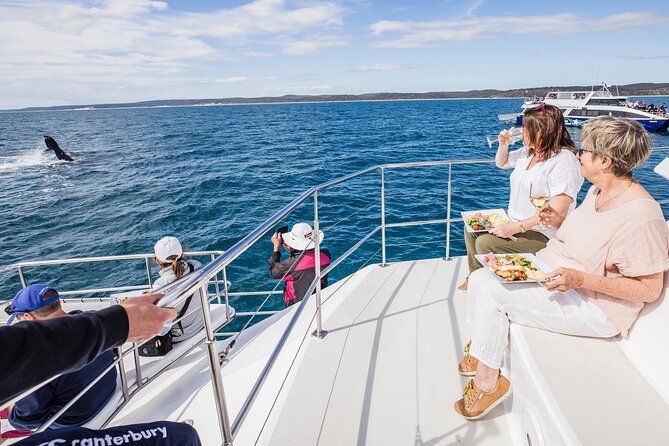 Freedom 3/4 Day Hervey Bay Premium Whale Watching Cruise - Why six hours can make a difference
