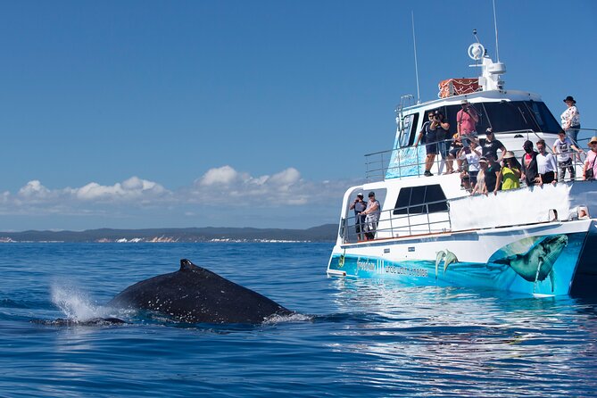 Freedom 3/4 Day Hervey Bay Premium Whale Watching Cruise - Leaving Great Sandy Strait Marina