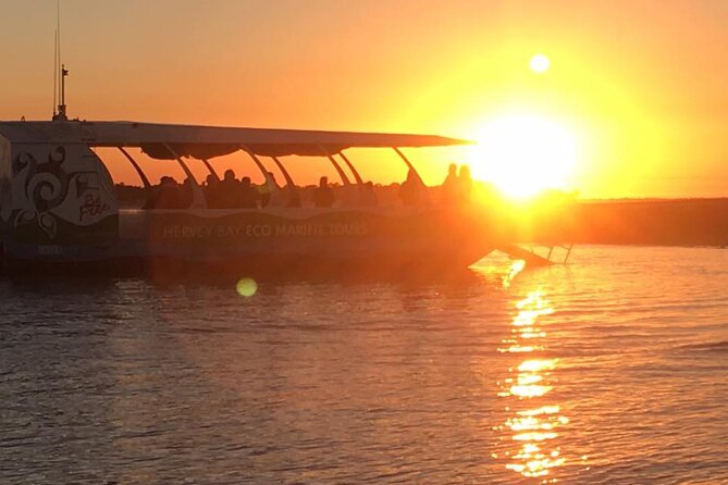Freedom 3/4 Day Hervey Bay Premium Whale Watching Cruise - Lunch with views of K’gari