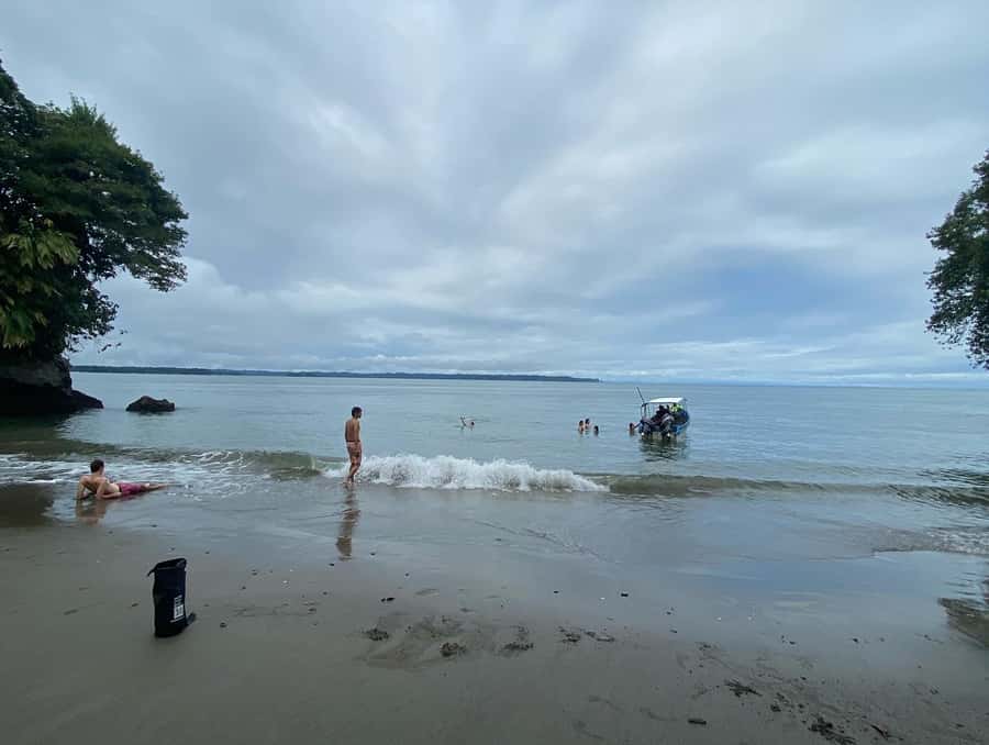 From Cali: Whale Watching Day Trip in Buenaventura - Finding humpback whales near Juanchaco
