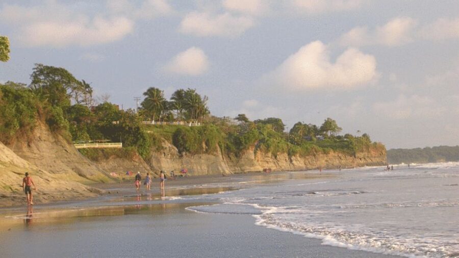 From Cali: Whale Watching Day Trip in Buenaventura - What to bring, and what to leave behind